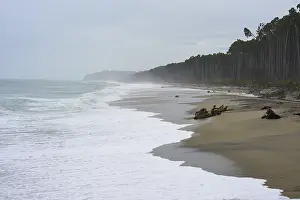 South Island Nature Scene Imprime: Beach with forest in the background