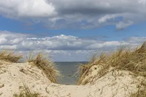 Marram Grass Imprime: Beach path