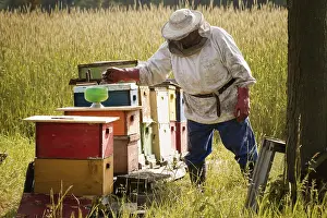 Beekeeper Protective Clothing Imprime: Beekeeper installing a feeder