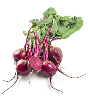 Fresh Beets Imprime: Beet, beetroot bunch on white background