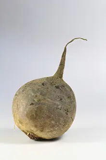 Beet Root Nutrition Facts Imprime: Beetroot
