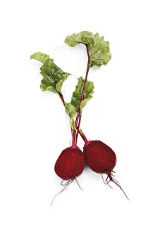 Beetroot Nutrition Imprime: Beetroot