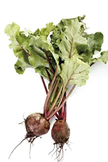 Beetroot Nutrition Imprime: Beetroot