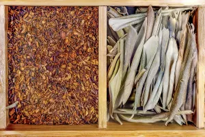 Symbolic Food Image Imprime: Box with set of different types tea