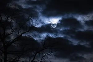 Lower Austria Night Sky Imprime: Branches and clouds in front of full moon