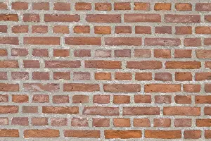 Deserted Brick Walls Imprime: Brickwall