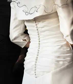 Wedding Celebration Images Imprime: Back of a bride