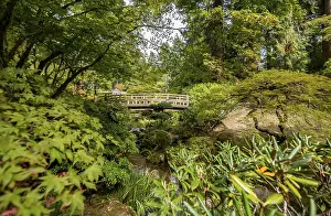 Uninhabited Waterfront Area Imprime: Bridge over an established stream