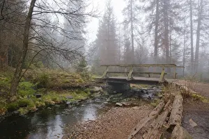 Deserted German Bridge Imprime: Bridge at the Oderteich, Nebel