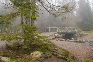 Northern Germany Waterfront Imprime: Bridge at the Oderteich, Nebel