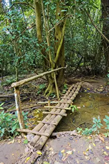 Impresiones de Puente sobre un pequeño arroyo, selva tropical, cascadas de agua Tat Kuang Si, Luang Prabang, provincia de Luang Prabang, Laos Laos Imprime: Puente sobre un pequeño arroyo, selva tropical.