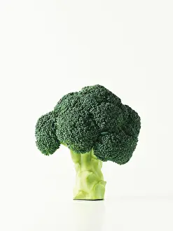 Nature Botany Images Imprime: Broccoli