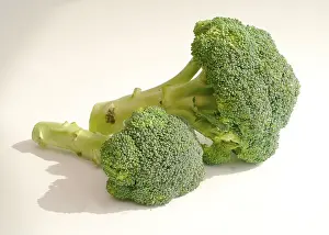 Organic Broccoli Imprime: Broccoli