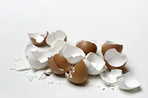 Broken Eggshells Imprime: Broken eggshells