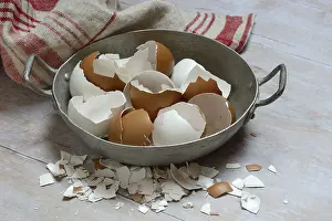 Studio Shot Eggs Imprime: Broken eggshells in shells
