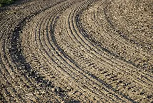 Agricultural Scenery Imprime: Brown field with parallel pattern