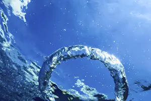 Sunlight In Water Imprime: Bubble Ring Ascends towards the Sun, Underwater