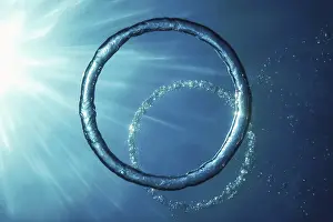 Underwater Ring Imprime: Bubble Ring Underwater ascends towards the Sun