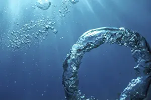 Underwater Photography Imprime: Bubble Ring Underwater, Ring Bubble
