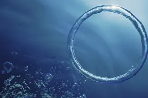 Underwater Ring Imprime: Bubble Ring Underwater, Ring Bubble