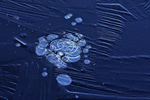Air Bubble In Ice Imprime: Bubbles and structure in ice