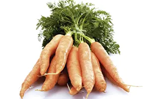 Studio Vegetable Shots Imprime: A bundle of carrots