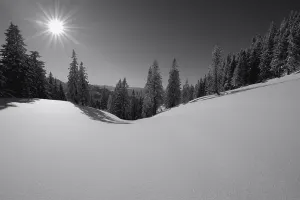 Winter Forest Photography Imprime: Winter forest with mountain range in backlight