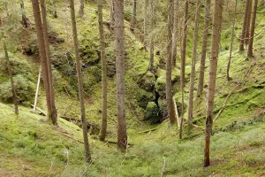 Upper Palatinate Nature Park Imprime: Doline, solution doline, collapse doline