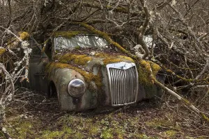 Categoría Oldtimer Imprime: Coche clásico, vista frontal con rejilla.