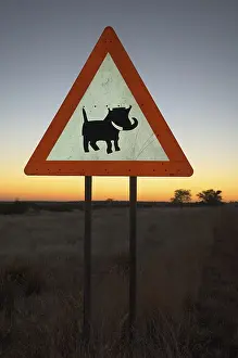 Warthog Imprime: Etiqueta de advertencia para tener cuidado con los jabalíes.