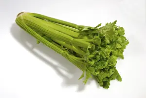 Leafy Vegetable Images Imprime: Celery