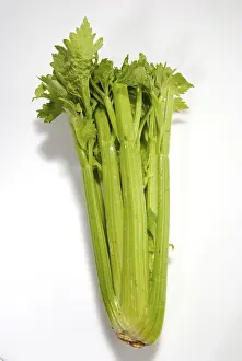 Leafy Vegetable Images Imprime: Celery