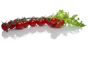 Studio Shot Vegetables Imprime: Celery and tomato with reflection on white background