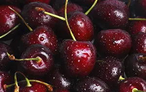 Fresh Fruit Studio Shot Imprime: Cherries
