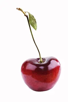Red Cherry Fruit Imprime: Cherry