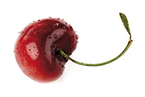 Cherry Nutrition Imprime: Cherry
