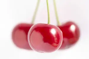 Cherry Fruit Imprime: Cherry