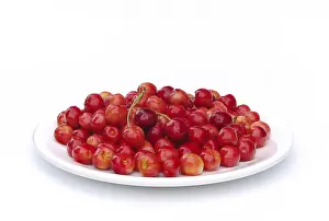 Cherry Fruit Imprime: Cherry, cherry
