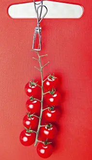 Cherry Tomatoes Imprime: Cherry tomatoes
