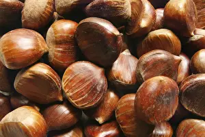Winter Food Photography Imprime: Chestnuts