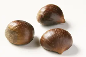 Sweet Chestnut Nutrition Imprime: Chestnuts