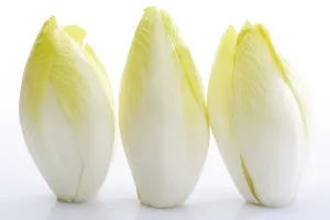 Fresh Vegetable Cutouts Imprime: Chicory