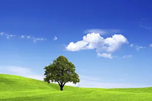 Agricultural Environment Imprime: Clean Environment