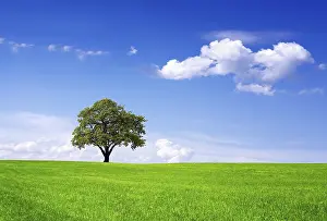 Deserted Countryside Scene Imprime: Clean environment