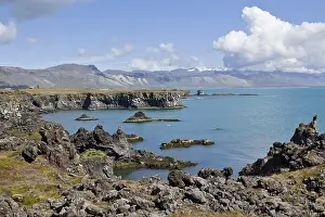 Daytime Ocean Views Europe Imprime: Cliffs at Arnarstapi, Snaefellsness