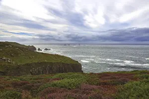 Rocky Cliffs Europe Imprime: Cliffs with heather in the foreground