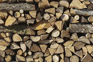 Imágenes Con fecha 11 de junio de 2024: Close up firewood stack print