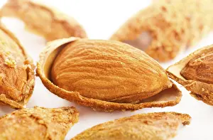Detailed Studio Photography Imprime: Close up view of roasted almonds in shell