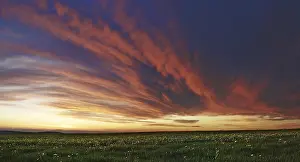 Overcast Weather Conditions Imprime: Cloud front approaching