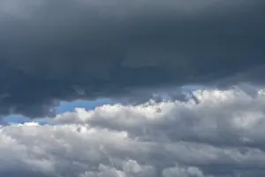 Blue Sky Weather Forecast Imprime: Cloud formation (cumulus), low clouds